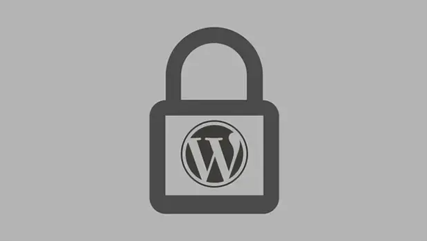 WordPress AMP 插件漏洞影响 100,000 个站点