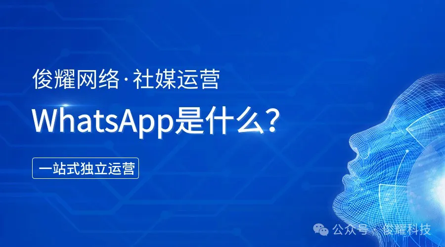 WhatsApp保姆级攻略